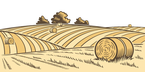 A field with hay bales and trees in the background Vector ©  MST RABEYA  BEGUM