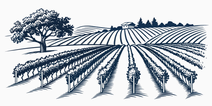 People working in a vineyard with a tree Vector