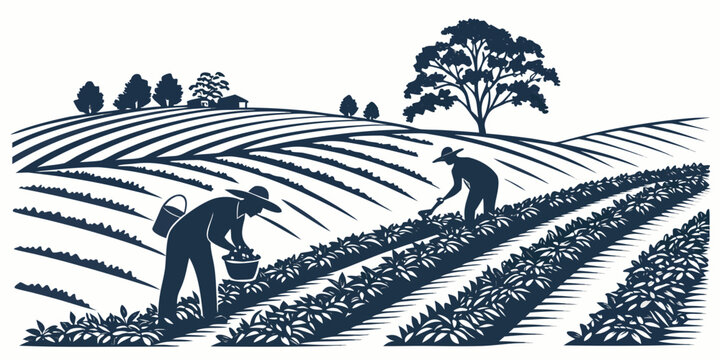 Farmers working in a field with rows of crops Vector