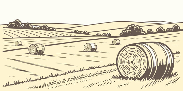 A large round bale of hay in a field Vector