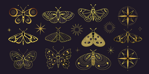 Golden butterflies and moths with celestial starbursts in a decorative design © Shobuj
