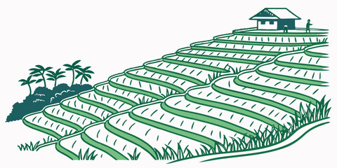 A green illustration of a vineyard with rows of vines and a house Vector ©  MST RABEYA  BEGUM