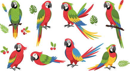 Colorful Parrot Illustration Set Featuring Tropical Macaws Sitting, Flying, and Perching with Leaves and Berries for Wildlife Nature Design. © MstSuborna