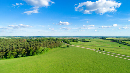 Fototapeta premium green field and blue sky
