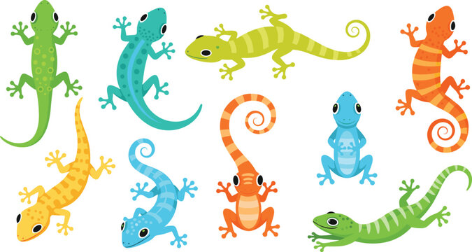 Colorful Gecko Lizard Illustration Set Featuring Cartoon Geckos in Different Poses with Curled Tails for Wildlife and Reptile Design.