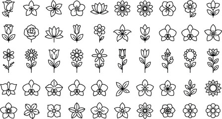 Set of 40 black line art flower icons vector
