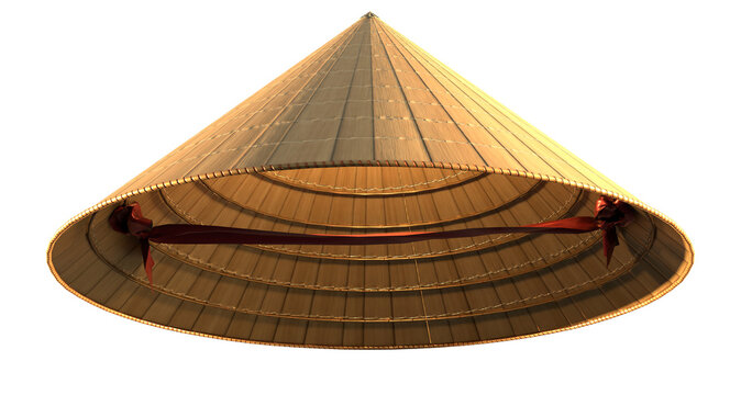 Vietnamese conical hats