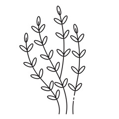 Minimalist Botanical Line Art