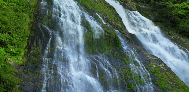 Lush forest gorge with cascading waterfall