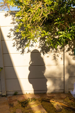 Maternity photoshoot of beautiful Mother to be