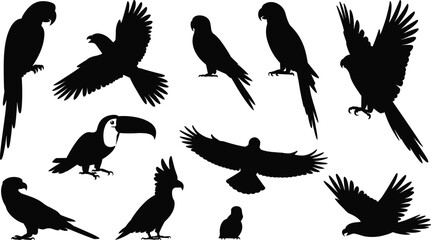Collection of Silhouette Tropical Birds Including Parrots Toucan and Cockatoo Keywords: parrot silhouette toucan silhouette cockatoo silhouette macaw silhouette bird silhouette tropical © Its me...