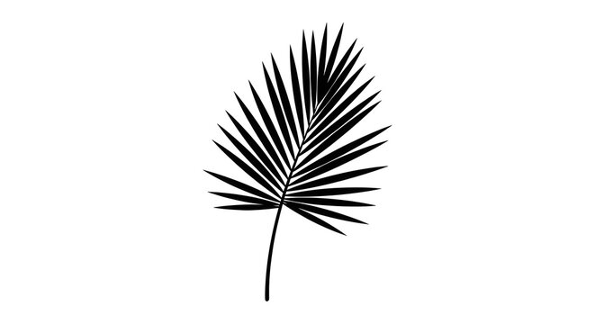 Black palm leaf isolated on white background minimalist design vector