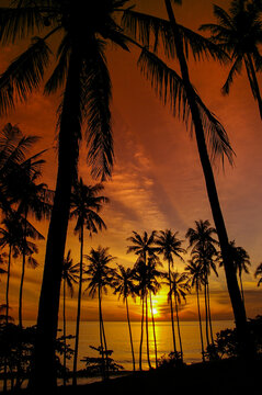 Sunset at Senggigi Beach, Lombok Island, NTB, Indonesia