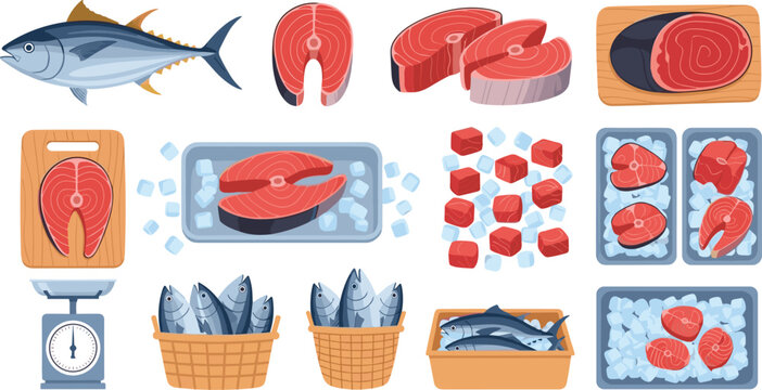 Fresh tuna seafood vector collection with whole fish, fillet steaks, sashimi cubes, cutting board, ice trays, baskets and weighing scale for fish market and cooking design