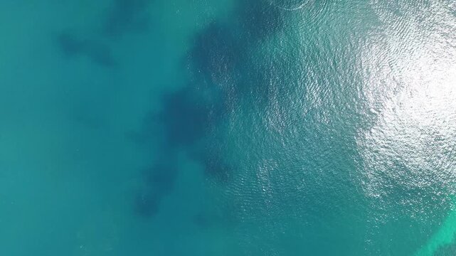 空から見た青の絶景（伊豆）