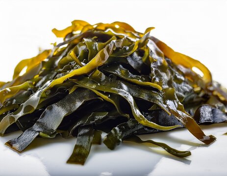 artistic capture of fresh laver seaweed porphyra tenera on white surface with vibrant hues and rich nutritional benefits for gourmet presentations