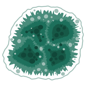 Green mold fungus spot growing on wet house wall. Mildew fungal spores under the microscope. Vector illustration