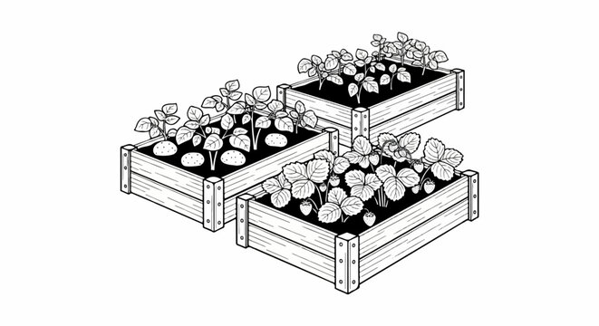 Raised garden beds display potatoes and strawberries growing