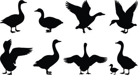 Collection of eight geese silhouettes, standing, walking, flying, parent and gosling, vector illustration set for wildlife, nature, and design projects © It's Sumi Here