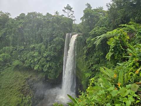Huge Waterfall in the Tropical Jungle