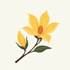 Yellow magnolia flower with buds on branch against light background  