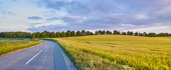 Countryside, grass field and road in nature for travel, transportation pathway and outdoor landscape. Banner, overcast or freeway with greenery for eco integration, farmland or environment in Denmark © peopleimages.com