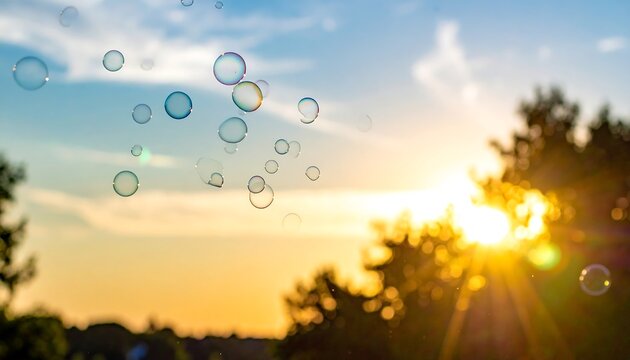 Sunlit sky with bubbles floating upwards during a golden hour sunset, framed by trees and lush greenery