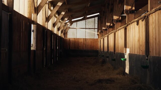 Wide angle view of the interior of a rustic wooden barn or horse stable. Sunlight shines through the structure onto straw and hay. Cinematic and peaceful atmosphere in a farm building.