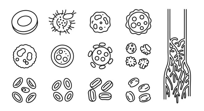 Visual guide to common blood vessel pathologies illustrating blood clots, plaque buildup, and pathogen attacks affecting the human circulatory system