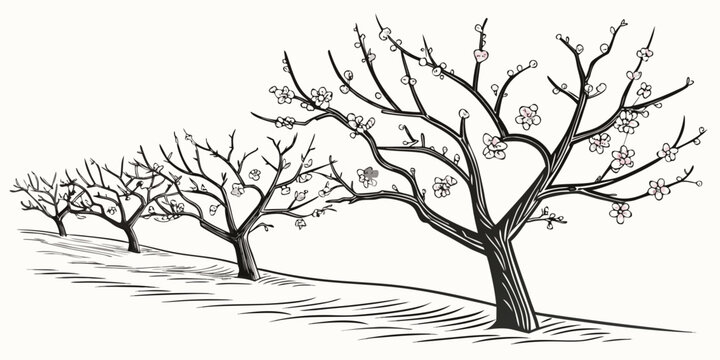 A row of leafless trees in a snowy landscape Vector