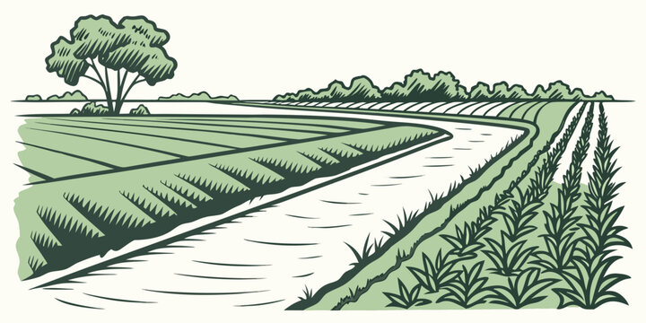 A green field with a path and a house in the background Vector