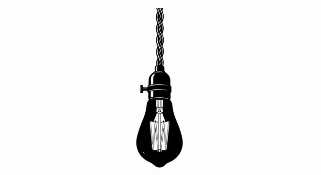 Vintage Edison bulb suspended by a twisted wire cord