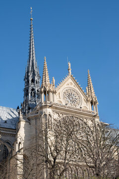 Architectural detail of notre dame cathedral in paris featuring the gothic rose window and the new spire against a clear blue sky during a sunny day with bare winter trees in the foreground
