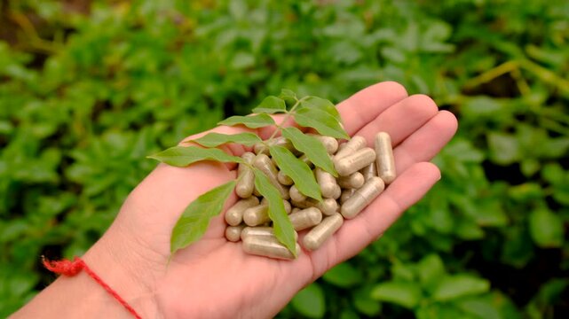 Moringa essential oil and supplements. Selective focus.