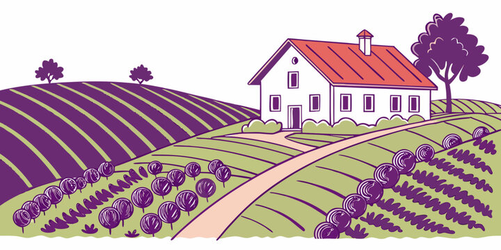 A white house with a red roof in a lavender field Vector