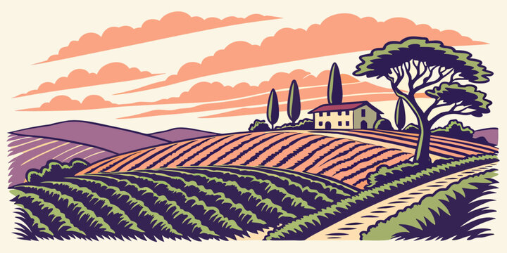 A serene vineyard landscape at sunset Vector
