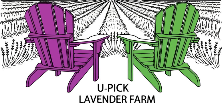 Two colorful Adirondack chairs on a lavender farm, offering a serene relaxation spot