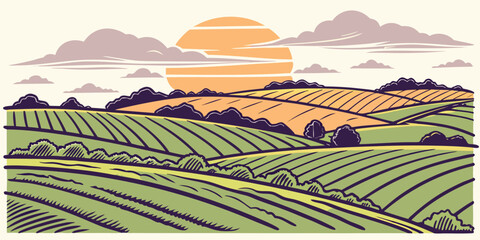 Fototapeta premium A serene vineyard landscape at sunset Vector