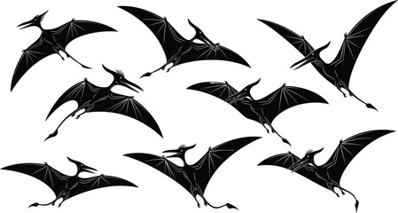 Flying Pterodactyl Dinosaur Silhouette Collection, Prehistoric Pterosaur in Flight Set, Jurassic Winged Reptile Black Vector Illustration for Paleontology Design © REYAD