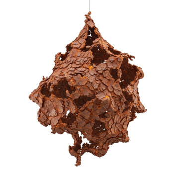 Organic Abstract Sculpture of Rusted Metal or Bark Texture