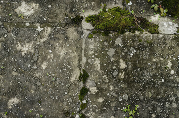 Photo of Old dirty gritty mossed concrete wall. Background texture for backdrops or mapping