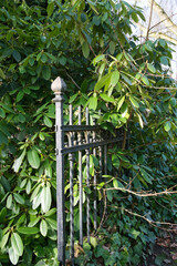 Reste einer alten Einfriedung aus Eisen auf einem Friedhof in Unna © Blende8