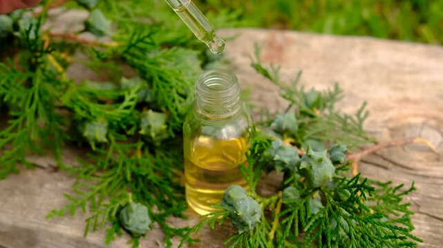 Thuja essential oil and supplements. Selective focus.