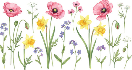 Spring Meadow Flowers Collection with Poppy Daffodil and Wild Blossoms