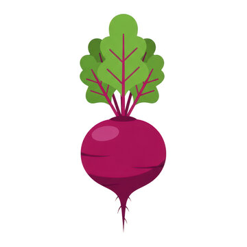 A red beetroot with green leaves on top isolated on transparent background