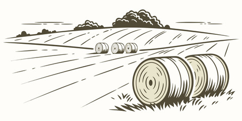 A stack of hay bales in a field Vector © MST CHIN BANU BEGUM