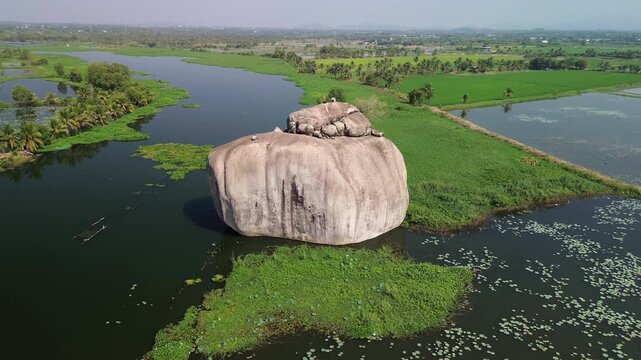 Drone lateral tracking shot keeping a giant inselberg centered while revealing surrounding farmland in Phu Dien, Southern Vietnam