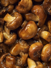Saut&eacute;ed Mushrooms in Glossy Butter Glaze, Extreme Macro Editorial Food Photography