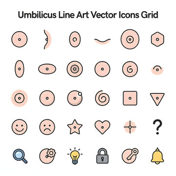 Umbilicus Line Art Illustration, Human Navel Anatomy Sketch, Belly Button Outline Drawing, Minimal Medical Vector Design