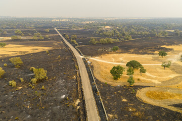 Naklejka premium Street in a burnt landscape after a forest fire. Spain 2025. Aerial shot.
